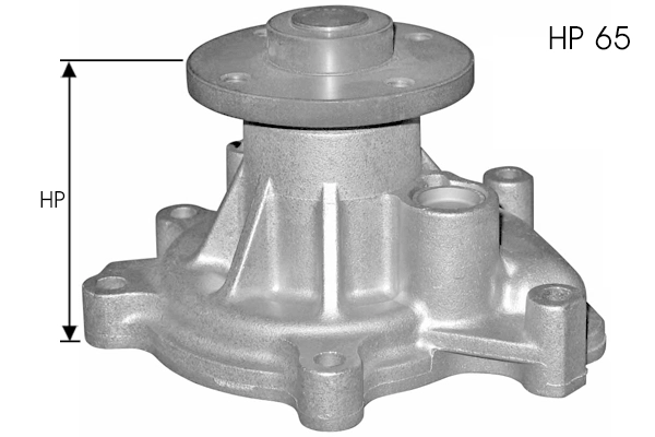 Water Pump, engine cooling (TPAE0193)