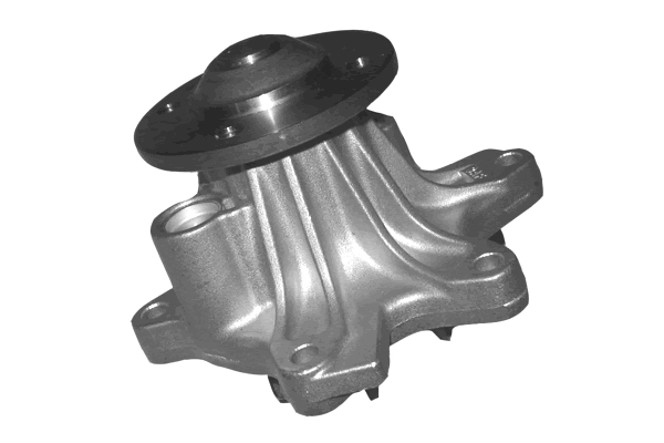 Water Pump, engine cooling (TPAE0180)