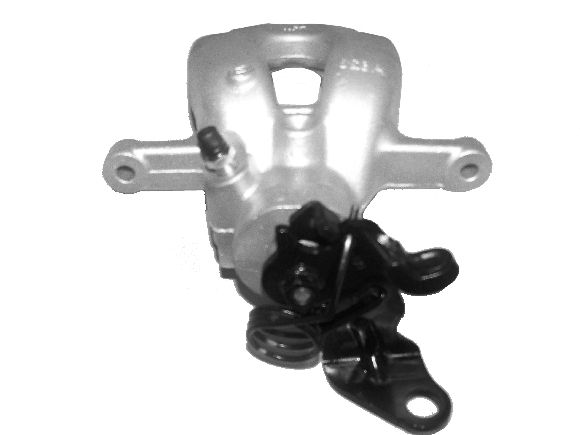 Brake Caliper (TET1981)