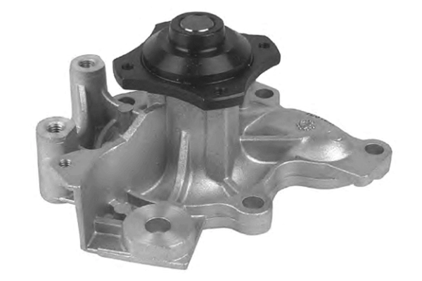 Water Pump, engine cooling (TPAE0309)