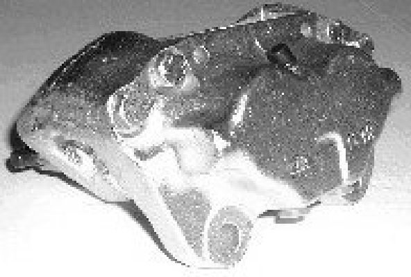 Brake Caliper (TET1613)