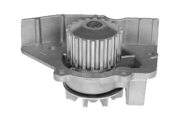 Water Pump, engine cooling (TPAE0019)
