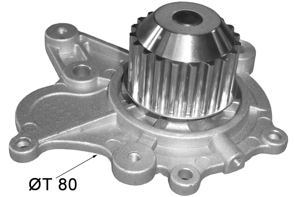 Water Pump, engine cooling (TPAE0074)
