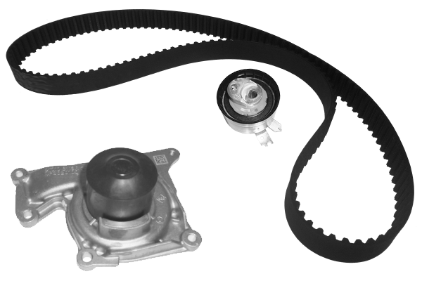 Water Pump & Timing Belt Kit (TKPE0010)