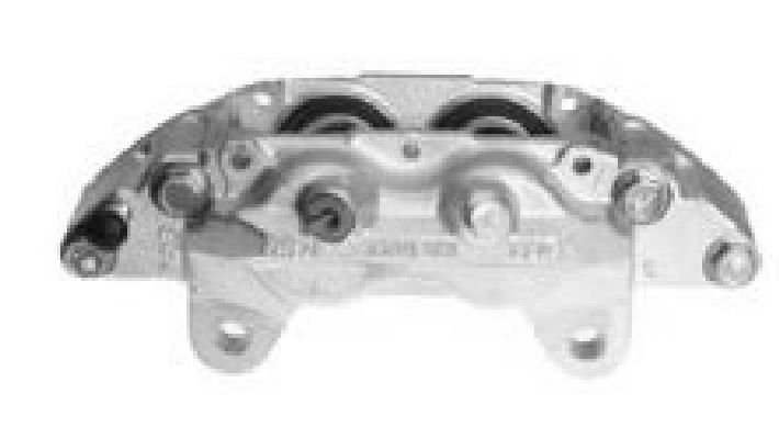 Brake Caliper (TET1079)