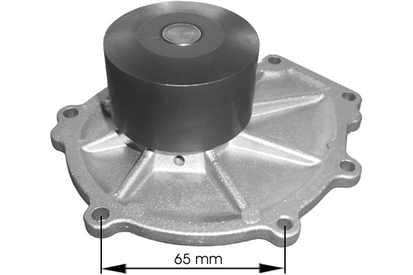Water Pump, engine cooling (TPAE0330)