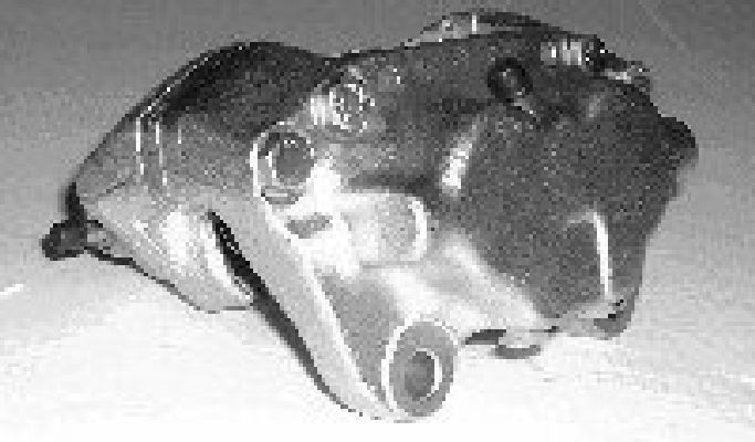 Brake Caliper (TET0756)