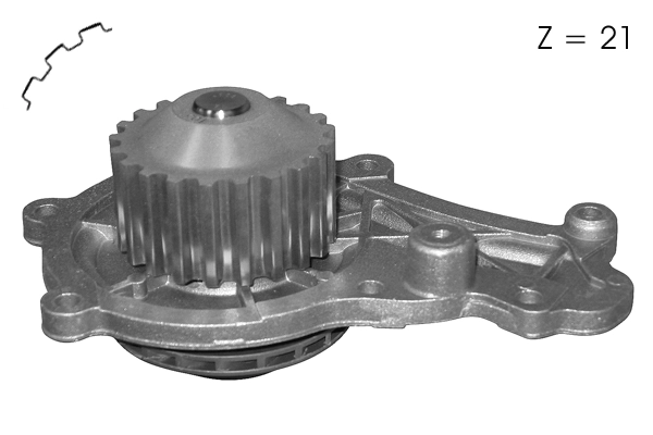 Water Pump, engine cooling (TPAE0005)