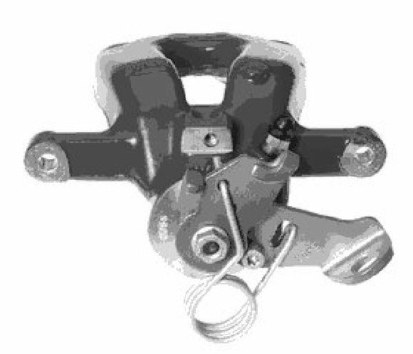 Brake Caliper (TET1993)