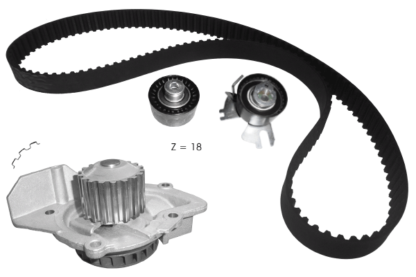Water Pump & Timing Belt Kit (TKPE0020)