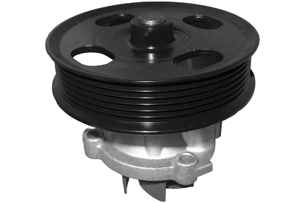 Water Pump, engine cooling (TPAE0042)