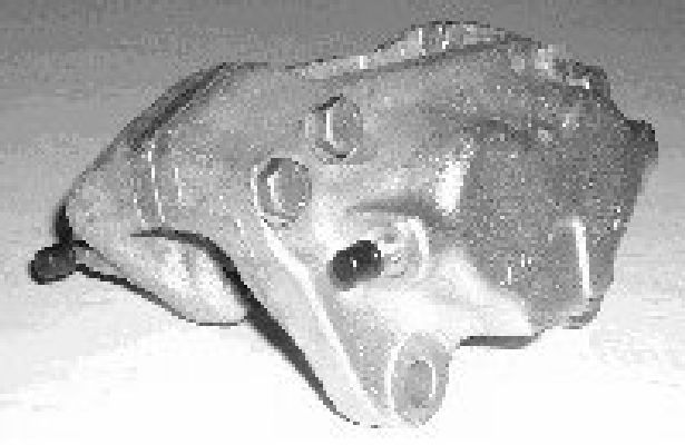 Brake Caliper (TET2907)