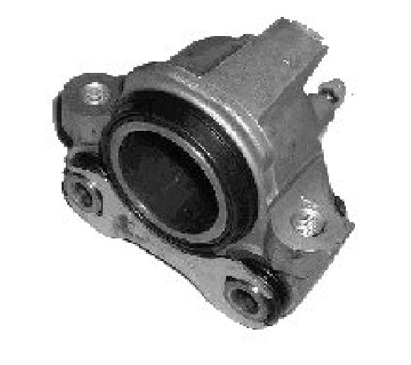 Brake Caliper (TET1010)