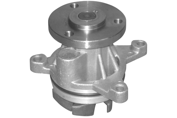 Water Pump, engine cooling (TPAE0263)