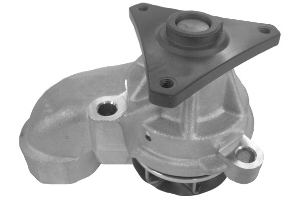 Water Pump, engine cooling (TPAE0318)