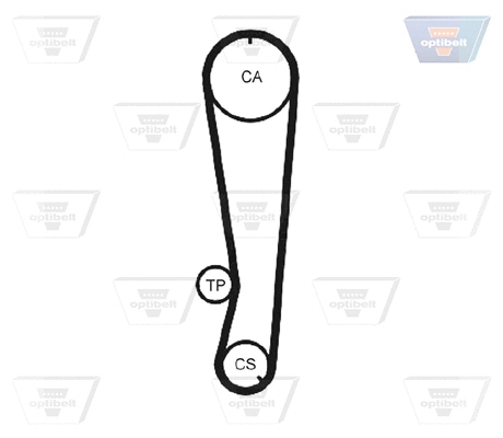 Timing Belt