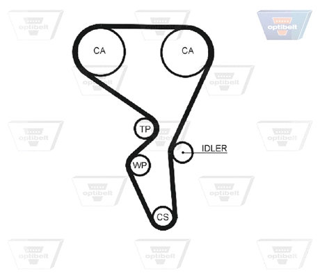 Timing Belt