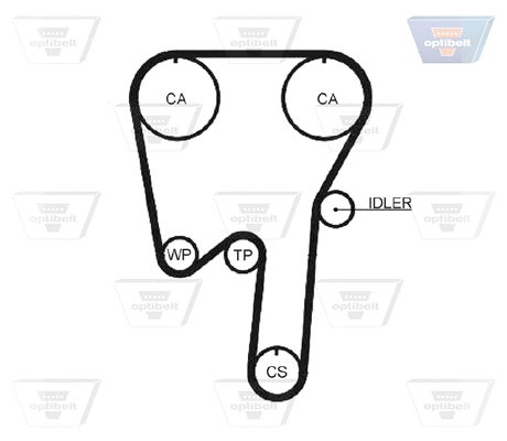 Timing Belt
