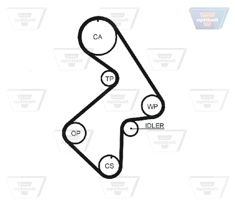 Timing Belt