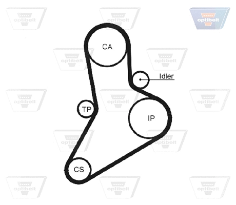 Timing Belt