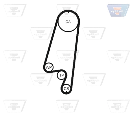 Timing Belt