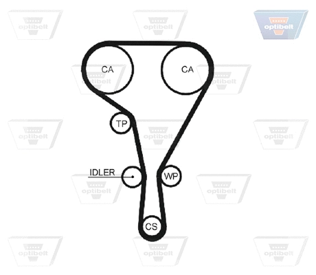 Timing Belt