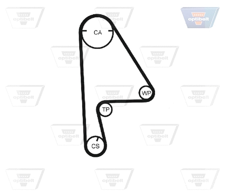 Timing Belt