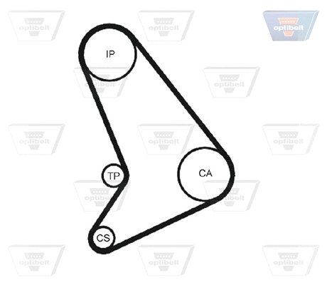 Timing Belt