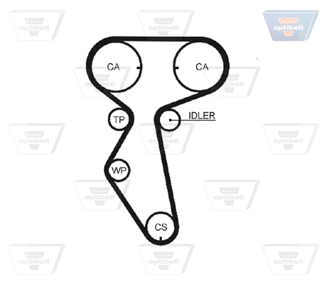 Timing Belt