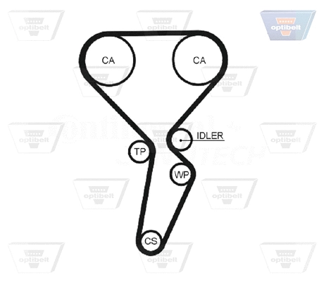 Timing Belt