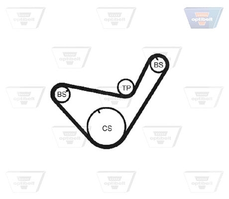 Timing Belt