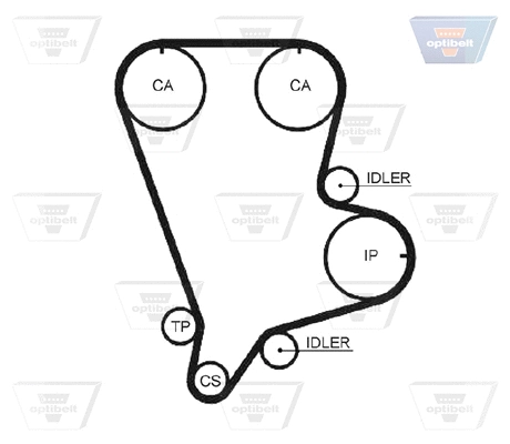 Timing Belt