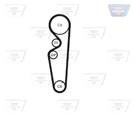 Timing Belt