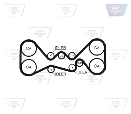 Timing Belt