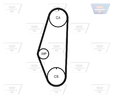 Timing Belt