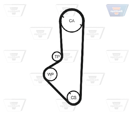 Timing Belt
