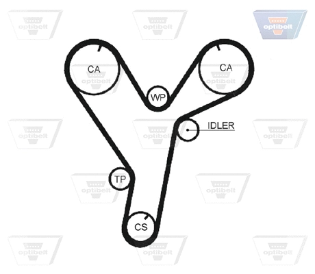 Timing Belt