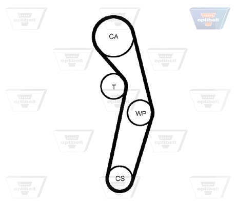 Timing Belt