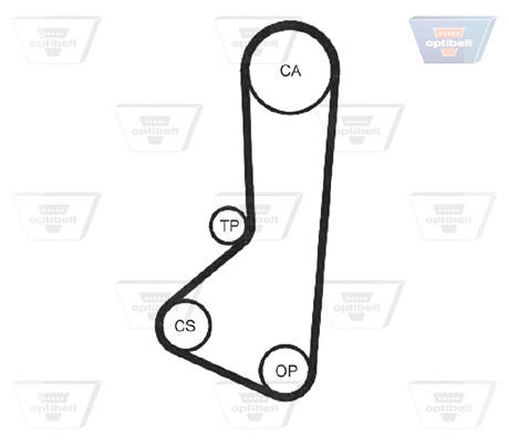 Timing Belt