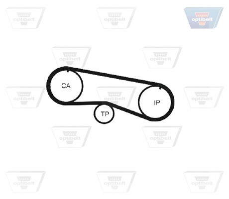 Timing Belt
