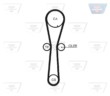 Timing Belt