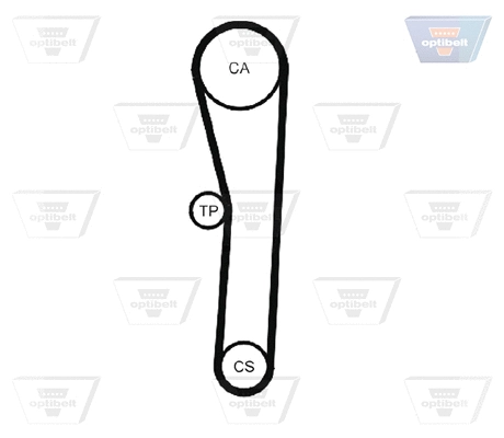 Timing Belt
