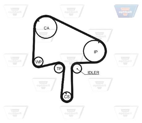Timing Belt