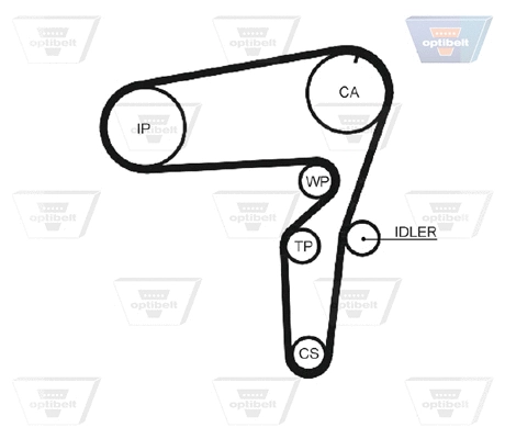 Timing Belt