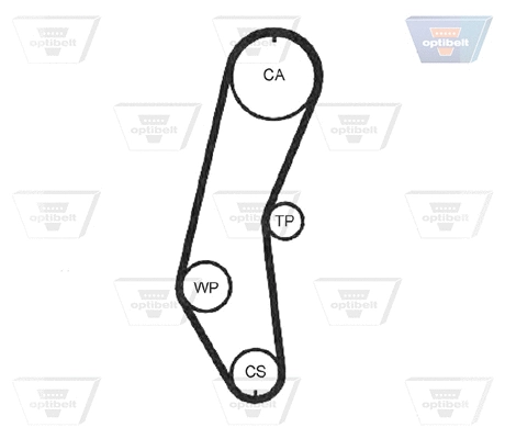 Timing Belt