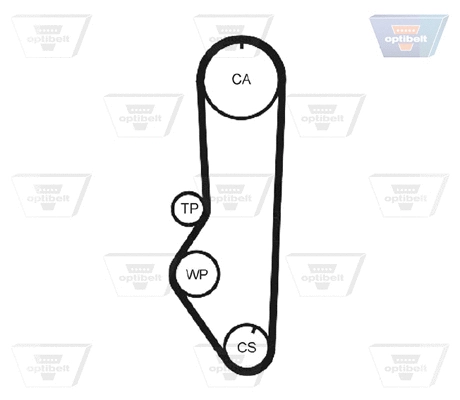 Timing Belt