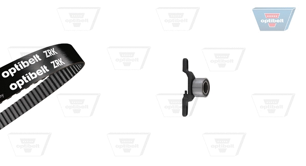 Timing Belt Kit (KT 1009)