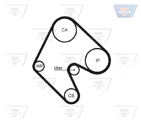 Timing Belt