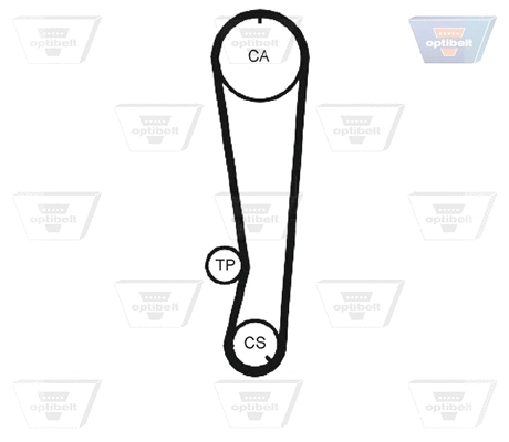 Timing Belt