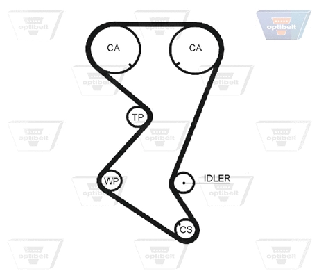 Timing Belt